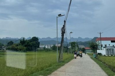 Thời tiết các khu vực trong tỉnh ngày 3/7 có mưa vừa, có nơi mưa to và dông