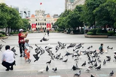 Triệu trái tim hướng về Thành phố mang tên Bác