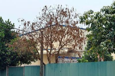 Xã Phúc Thịnh xử lý nghiêm vi phạm đất đai, môi trường
