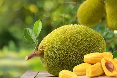 Quả mít: Thứ quả dân dã ăn được từ múi đến hạt