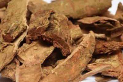 4 bài thuốc điều trị bệnh trĩ