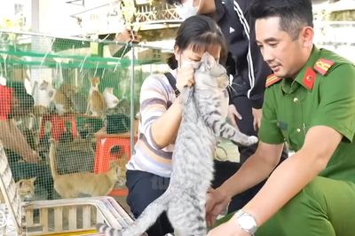 Người dân xúc động khi nhận lại thú cưng bị trộm