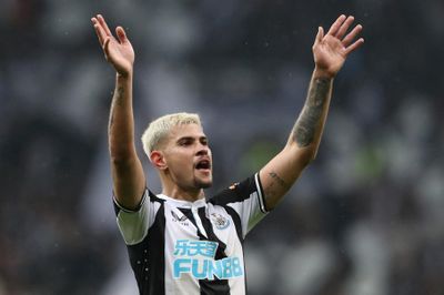 Newcastle bị 'xâu xé'