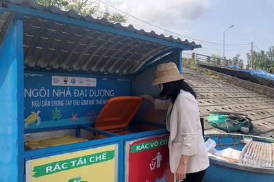 Quy định quản lý, bảo vệ môi trường trên địa bàn Đà Nẵng