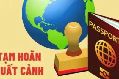 Các trường hợp tạm hoãn xuất cảnh do nợ thuế