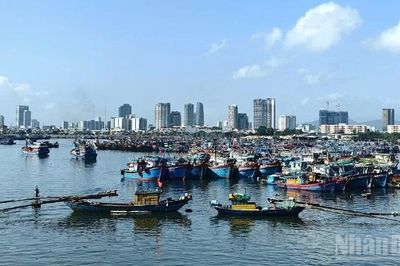 Hơn 56.000 tàu thuyền đã được thông báo chủ động tránh bão số 1