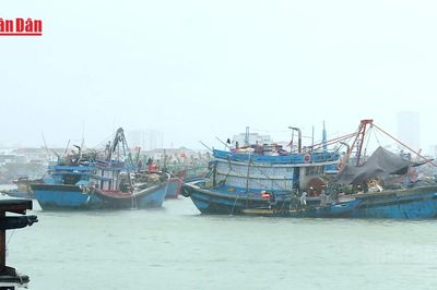 [Video] Bộ Công Thương yêu cầu chủ động ứng phó bão số 1 và mưa lũ sau bão