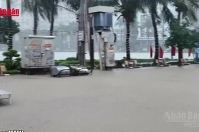 [Video] Dự báo thời tiết ngày 4/7: Bắc Bộ mưa lớn do ảnh hưởng bão số 1