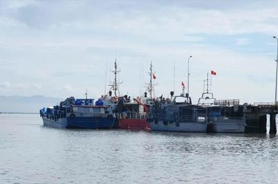 TPHCM tăng cường bảo đảm khai thác hải sản an toàn mùa mưa bão 2026