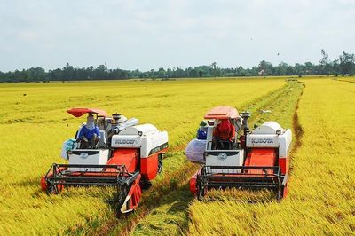 Đi xa hơn, bền vững hơn...