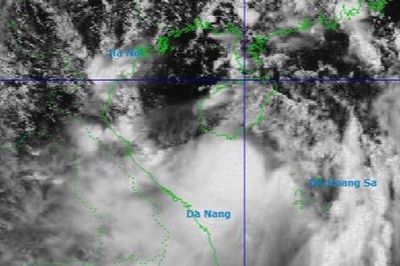 Các tỉnh, thành phố từ Quảng Ninh đến Thanh Hóa nhanh chóng ứng phó bão số 1