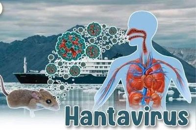 Bộ Y tế lên tiếng về dịch bệnh do virus Hanta