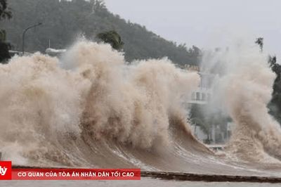 Ban Chỉ đạo Phòng thủ dân sự quốc gia yêu cầu khẩn trương ứng phó bão số 1