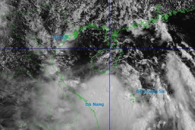 Bão số 1 Maysak đang tiến vào vịnh Bắc Bộ, 11 tỉnh thành khẩn trương ứng phó