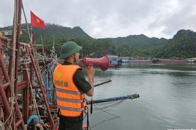 Hải Phòng khẩn trương triển khai các biện pháp ứng phó bão số 1