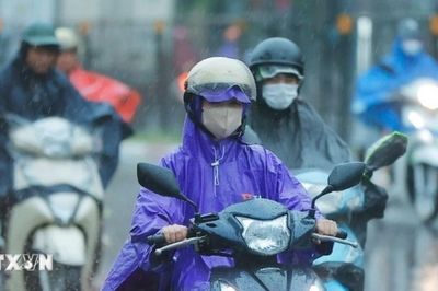 Thời tiết ngày 3/7: Áp thấp nhiệt đới mạnh lên thành bão, Đông Bắc Bộ và Thanh Hóa có mưa rất to