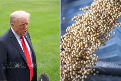 Tổng thống Trump tuyên bố Iran sẽ mua nông sản Mỹ