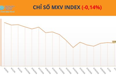 Thị trường hàng hóa nguyên liệu phân hóa, bạc tiếp tục hút dòng tiền
