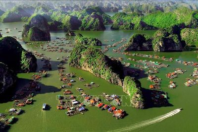 Cát Bà, Đồ Sơn: Hai 'thỏi nam châm' của du lịch Hải Phòng