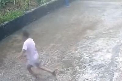 Nghe tiếng động lạ trên sườn đồi, cụ bà vội bỏ chạy
