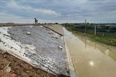 Đồng bằng Bắc Bộ và Thanh Hóa đảm bảo an toàn đê điều ứng phó bão số 1