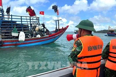 Ứng phó bão số 1: Quảng Ninh tổ chức 18 chuyến tàu đưa khách du lịch về đất liền