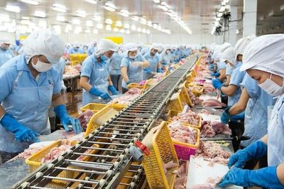 UKVFTA mở rộng cánh cửa cho thủy sản Việt Nam tại thị trường Anh