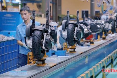 Các nước RCEP gia tăng điều tra phòng vệ thương mại lên hàng Việt