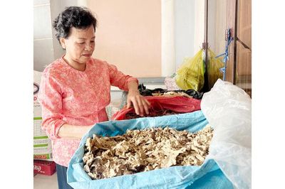 Giải bài toán già hóa dân số ở nông thôn
