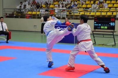 340 vận động viên tranh tài Giải Karate, Taekwondo tỉnh Bắc Ninh năm 2026