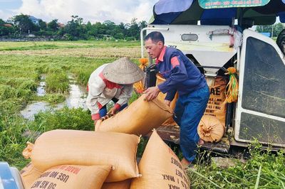 Bắc Ninh: Xã vùng cao Sơn Động khẩn trương ứng phó với bão số 1