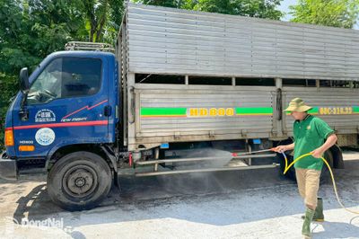 Phát triển chăn nuôi heo an toàn