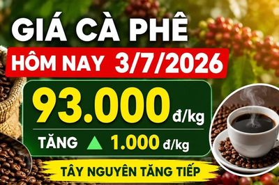 Giá cà phê hôm nay 3/7 tăng thêm 1.000 đồng/kg, Tây Nguyên giữ đà nóng