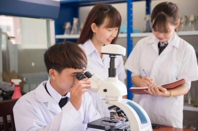 Bóc trần chiêu bài 'khoác áo' học thuật để xuyên tạc hình tượng lãnh tụ, lịch sử dân tộc
