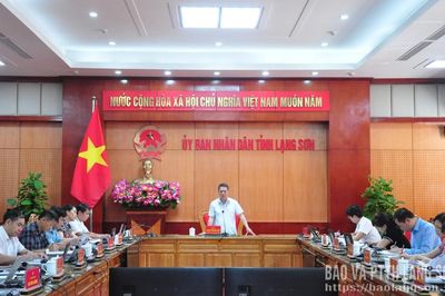 Lãnh đạo UBND tỉnh chủ trì 2 cuộc họp BCĐ về chuyển đổi đơn vị sự nghiệp thành công ty cổ phần và đổi mới, phát triển doanh nghiệp