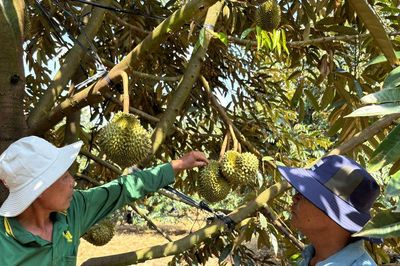 Chuyện ở chi bộ giúp dân thoát nghèo