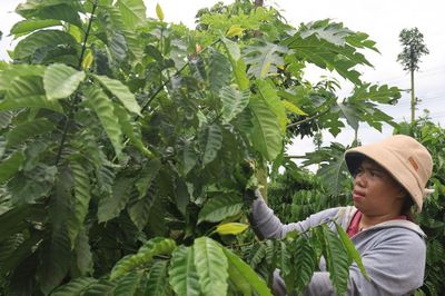 Nữ trưởng buôn gieo niềm tin bằng hành động