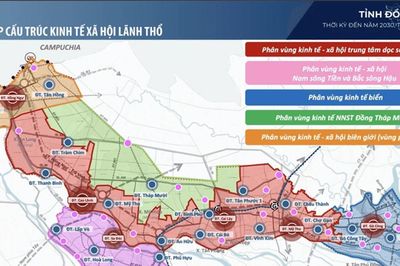 Quy hoạch Đồng Tháp: Thu hồi dự án treo và mở rộng 18 khu công nghiệp mới