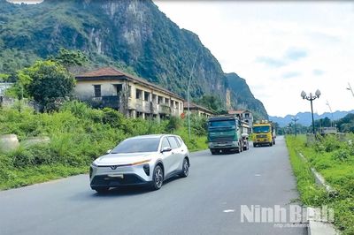 Ninh Bình chuyển mục đích sử dụng gần 9 ha rừng để triển khai các dự án giao thông trọng điểm