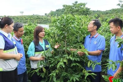 Tạo giá trị mới từ những nông dân chuyên nghiệp