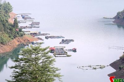 Nỗ lực tìm đầu ra ổn định cho thủy sản