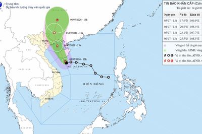 Yêu cầu các địa phương kiểm tra đê xung yếu trước mưa bão