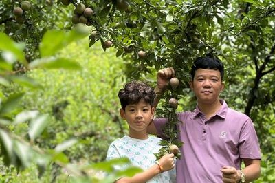Giữ gìn niềm tin du khách bắt đầu từ kỷ cương trong hoạt động du lịch