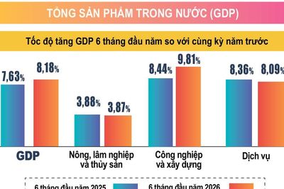Công nghiệp chế biến và dịch vụ kéo tăng trưởng GDP 6 tháng lên 8,18%