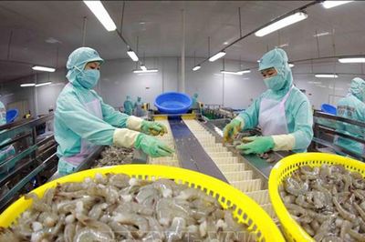 Xuất khẩu nông, lâm, thủy sản 6 tháng đạt gần 36 tỷ USD