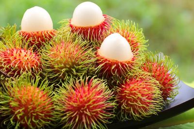Cù Lao Bình Hòa Phước: gieo thương hiệu, gặt giá trị cho trái chôm chôm