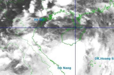 Bão số 1 dự kiến đi vào phía Bắc Quảng Ninh, có nơi mưa trên 500 mm