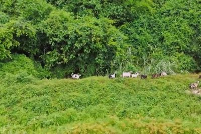 Chạm vào bình yên nơi bản Mường Cốc