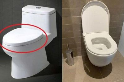Nên đóng hay mở nắp bồn cầu khi không sử dụng tốt hơn?