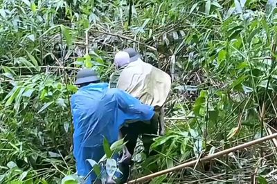 Mất tích giữa đêm mưa, cụ ông 90 tuổi được tìm thấy ở nơi không ai ngờ tới